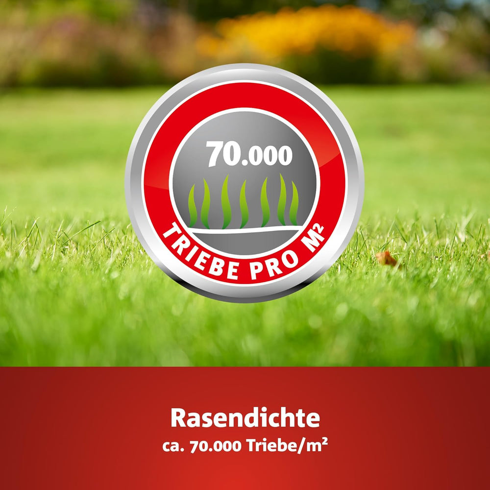 Wolf-Garten Trocken-Rasen PREMIUM L-TP 100 (Für 100 M², Hohe Dichte Mit Ca. 70.000 Trieben/M2, Sehr Gute Hitze- Und Trockenverträglichkeit, Widerstandsfähig Gegen Frost, 3 Kg Faltschachtel) 3824641