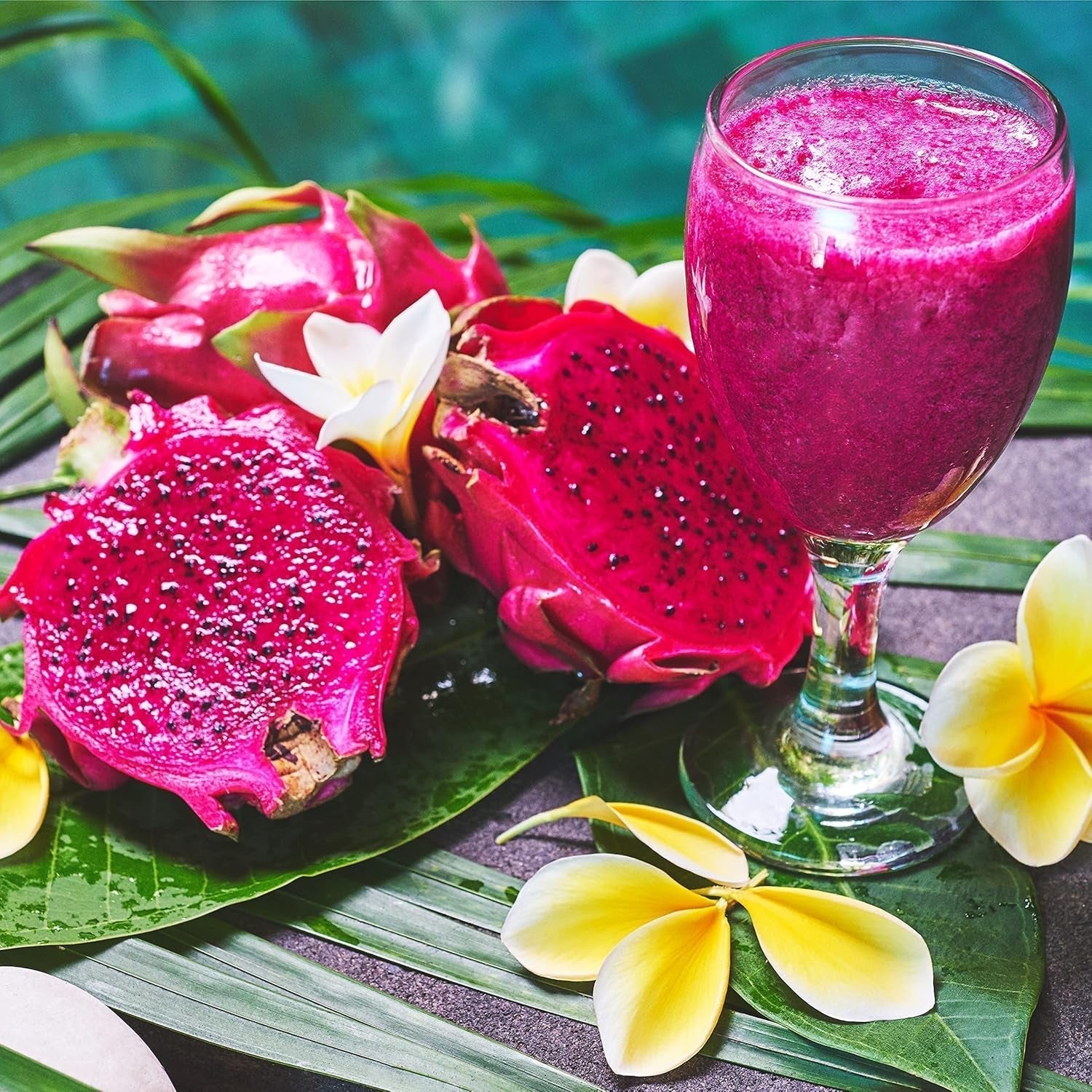 Fructe dragon liofilizate 50g - Fructe dragon liofilizate - Fructe uscate liofilizate - Fructe dragon uscate în felii pentru coacere, decorare, gustări, muesli, deserturi Produse deshidratate Magazinul meu