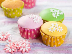 FunCakes Disc fondant rulat verdeață de primăvară: Delicioasă aromă de vanilie, deja rulată, ușor de folosit, perfectă pentru decorarea torturilor, 430 g Pasta de zahar Naty Shop