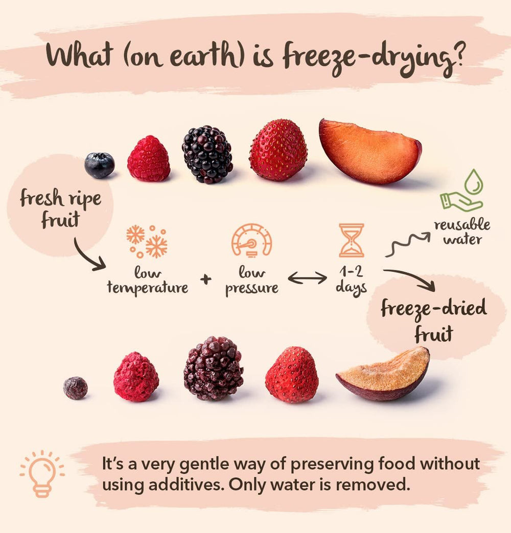 Mure sălbatice BRIX | Mure sălbatice naturale, uscate 95 g | Premiul Great Taste pentru fructe de pădure uscate | Fără OMG, fără gluten, vegan, vitamine reținute Produse deshidratate Naty Shop