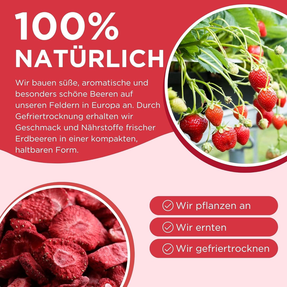 Summmer căpșuni liofilizate - pachet de 5 - fără zahăr, 100% naturale, delicioase gustări crocante pentru copii și adulți, ideale pentru cereale și cutii de prânz (55g) Produse deshidratate Naty Shop