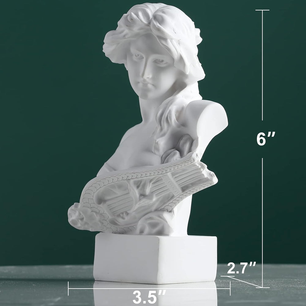 XMGZQ White Aphrodite Statue Sculpture, Resin Greek Mythology Bust Statue, for Coquette Room Decoration, Dark Academia Room Decoration, Bookshelves, Partition, Coffee Table Centrepiece Statuete si sculpturi Naty Shop